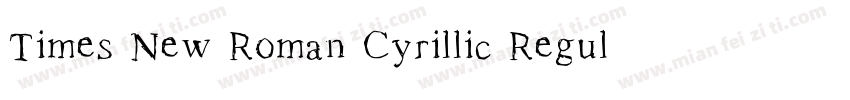 Times New Roman Cyrillic Regular字体转换